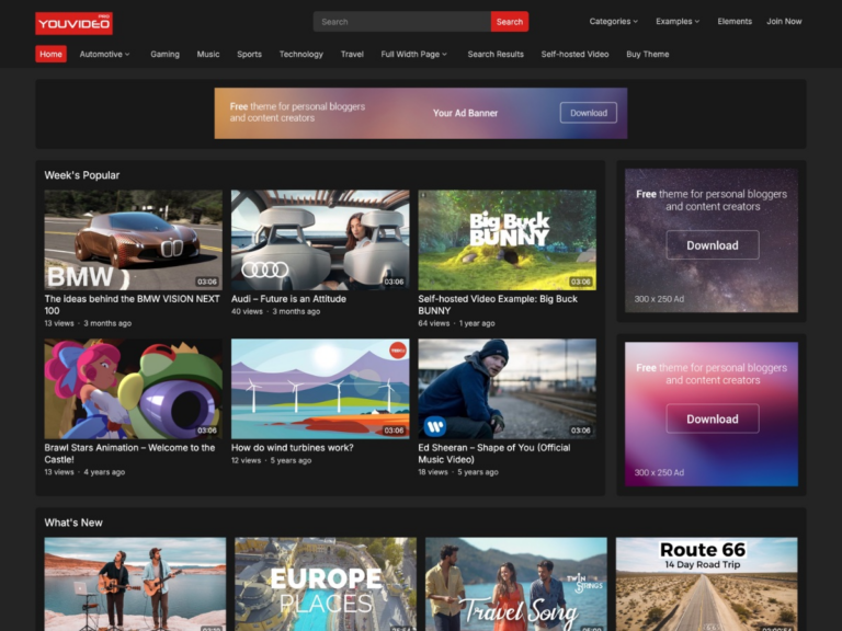 YouVideo Pro (v1.0.1) WPEnjoy Themes