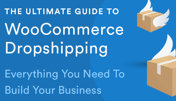 Dropshipping XML WooCommerce PRO v2.11.19 + FTP addon v1.0.32