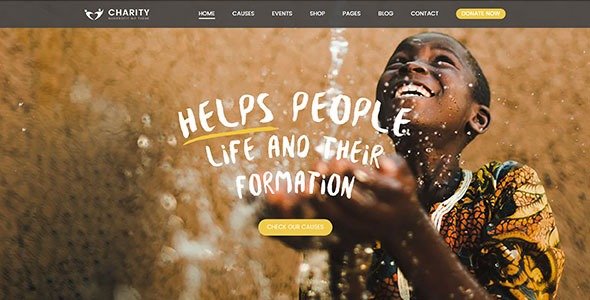 Charity Foundation v3.0 Charity Hub WP Theme
